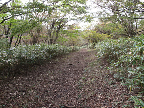 20181025hike (187)